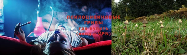 стаф Белоозёрский
