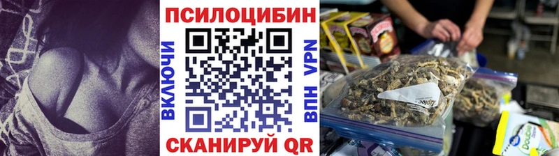 Галлюциногенные грибы Psilocybine cubensis  Воскресенск 